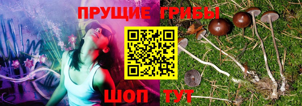 Родники  Псилоцибиновые грибы мицелий  купить  сайты  Вход с VPN 